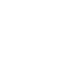 QA & testing service